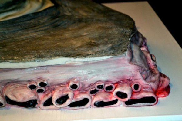 Kraken13at