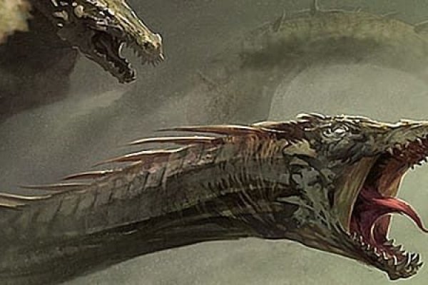 Kraken 12 att
